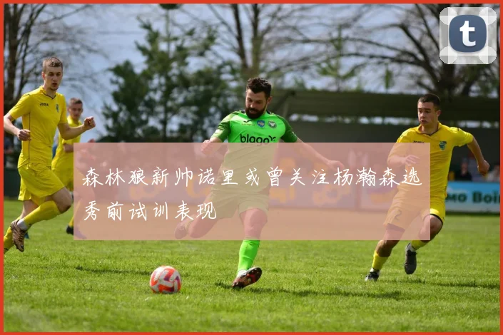 森林狼新帅诺里或曾关注杨瀚森选秀前试训表现