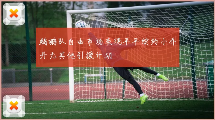 鹈鹕队自由市场表现平平续约小乔丹无其他引援计划