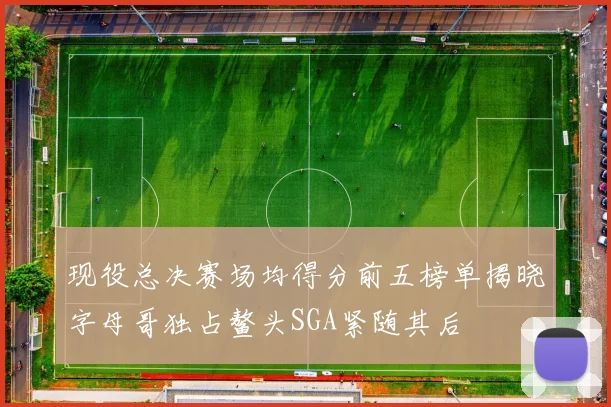 现役总决赛场均得分前五榜单揭晓字母哥独占鳌头SGA紧随其后